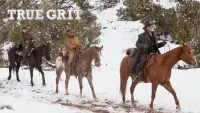 Backdrop to the movie "True Grit" #93836