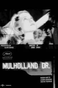 Poster to the movie "Mulholland Drive" #597985