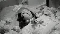 Backdrop to the movie "Funeral Parade of Roses" #521422