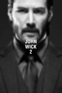 Poster to the movie "John Wick: Chapter 2" #169182