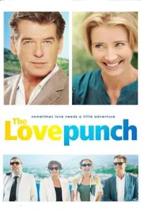 Poster to the movie "The Love Punch" #307912