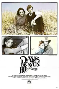 Poster to the movie "Days of Heaven" #140725