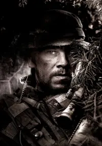 Poster to the movie "Lone Survivor" #215873