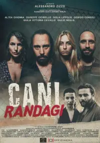 Poster to the movie "Cani Randagi" #449029