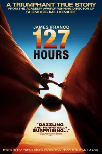 Poster to the movie "127 Hours" #79646