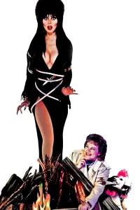 Poster to the movie "Elvira, Mistress of the Dark" #278295