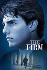 Poster to the movie "The Firm" #91333