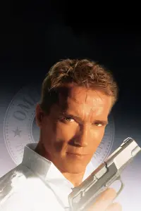 Poster to the movie "True Lies" #242835