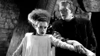 Backdrop to the movie "The Bride of Frankenstein" #661264