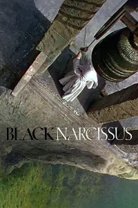 Poster to the movie "Black Narcissus" #153040