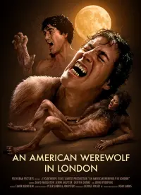 Poster to the movie "An American Werewolf in London" #50321