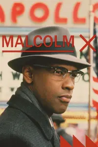 Poster to the movie "Malcolm X" #209243