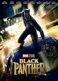 Poster to the movie "Black Panther" #219946