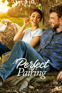 Poster to the movie "A Perfect Pairing" #128276