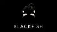 Backdrop to the movie "Blackfish" #155006