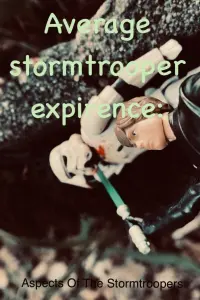 Poster to the movie "Aspects Of The Stormtroopers - A Star Wars Short Film" #515930