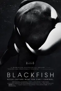 Poster to the movie "Blackfish" #155023