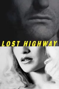 Poster to the movie "Lost Highway" #120864