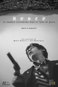 Poster to the movie "Bosco: La Sombra Extraviada Bajo la Luna de Plata" #480678