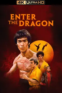 Poster to the movie "Enter the Dragon" #66002