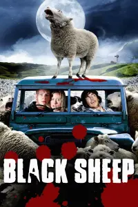 Poster to the movie "Black Sheep" #142878