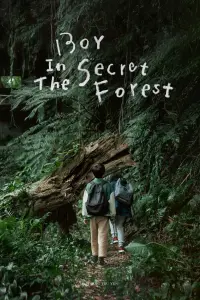 Poster to the movie "Boy in the Secret Forest" #517191