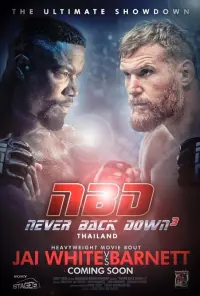 Poster to the movie "Never Back Down: No Surrender" #37459