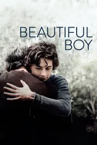 Poster to the movie "Beautiful Boy" #98524