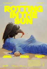 Poster to the movie "Rotting in the Sun" #116521