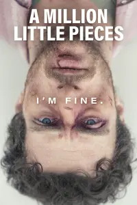 Poster to the movie "A Million Little Pieces" #362494