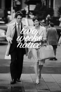 Poster to the movie "Two Weeks Notice" #636154