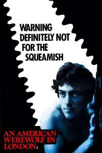 Poster to the movie "An American Werewolf in London" #50336