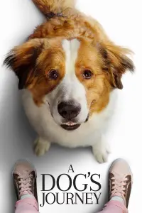 Poster to the movie "A Dog