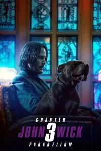 Poster to the movie "John Wick: Chapter 3 - Parabellum" #19407