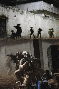 Poster to the movie "Zero Dark Thirty" #480822