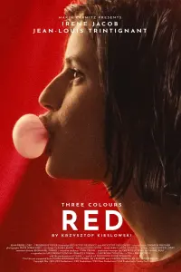 Poster to the movie "Three Colors: Red" #94011