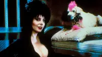 Backdrop to the movie "Elvira, Mistress of the Dark" #278256