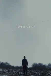 Poster to the movie "Wolves" #337886