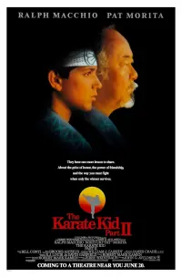 Poster to the movie "The Karate Kid Part II" #294018