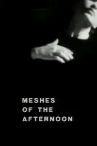 Poster to the movie "Meshes of the Afternoon" #202126