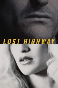 Poster to the movie "Lost Highway" #194507