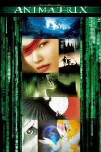 Poster to the movie "The Animatrix" #85052