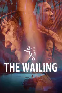 Poster to the movie "The Wailing" #133915