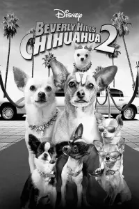 Poster to the movie "Beverly Hills Chihuahua 2" #573586