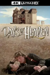 Poster to the movie "Days of Heaven" #211797