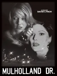 Poster to the movie "Mulholland Drive" #35027