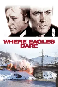 Poster to the movie "Where Eagles Dare" #91817