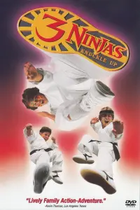 Poster to the movie "3 Ninjas Knuckle Up" #341895