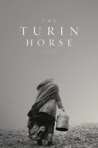 Poster to the movie "The Turin Horse" #201327