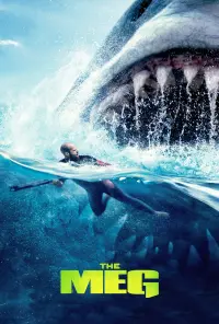 Poster to the movie "The Meg" #19704